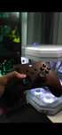 Кастомный контроллер Xbox