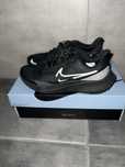 Nike pegasus shield 39
