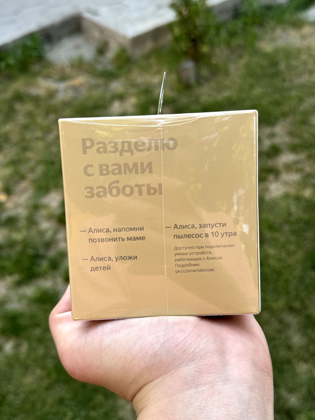 Умная колонка Яндекс Станция Лайт коричневый