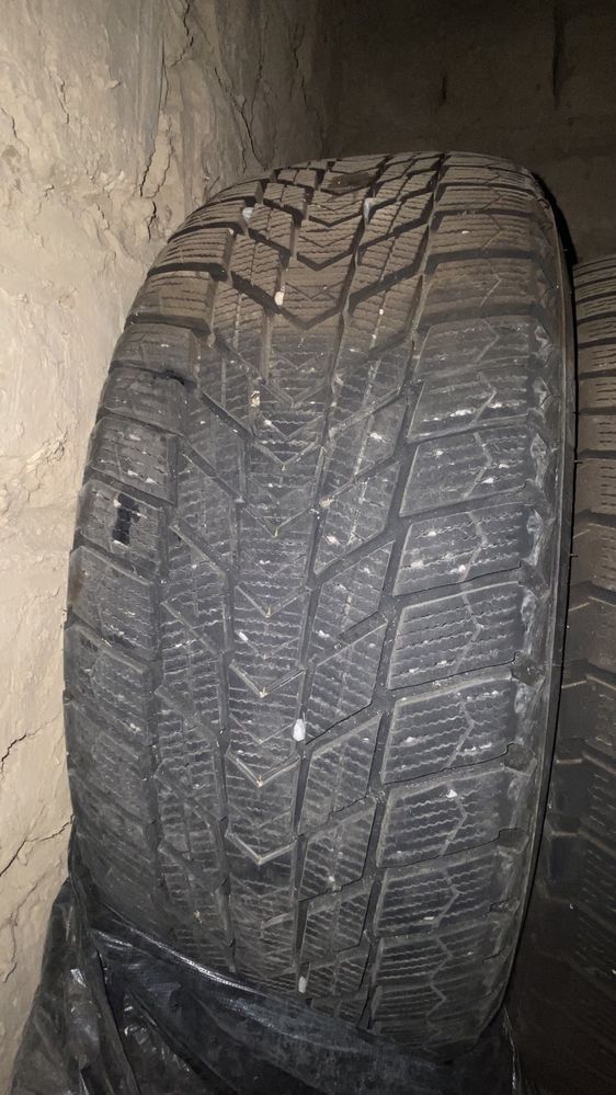 Автошины