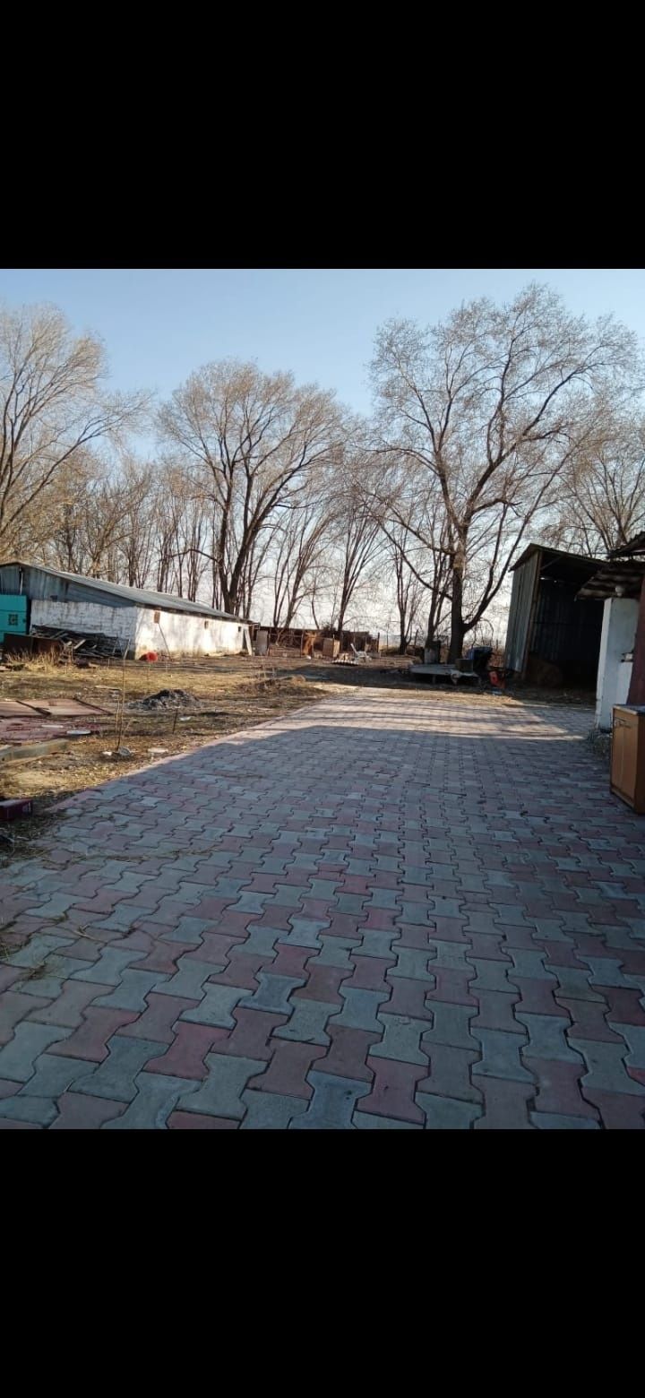 Фазенда уй сатамын фазенда уй сатамын уй фазенда