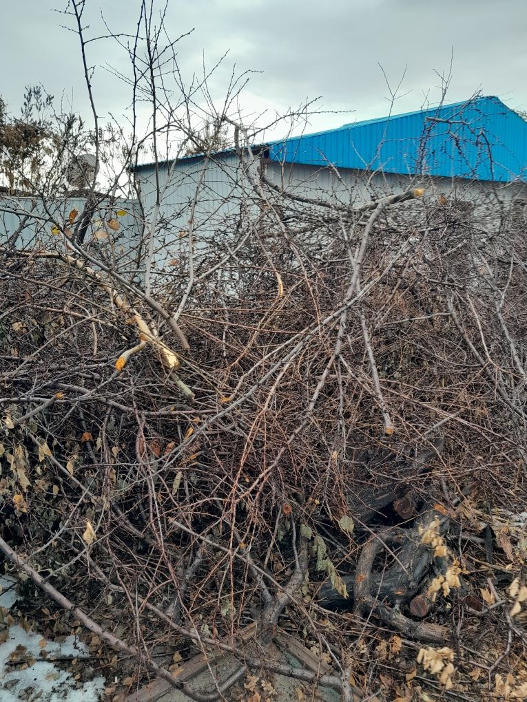 Отдам на дрова даром