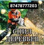 Спил деревьев любой сложности