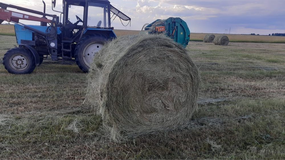 Сено в тюках продам