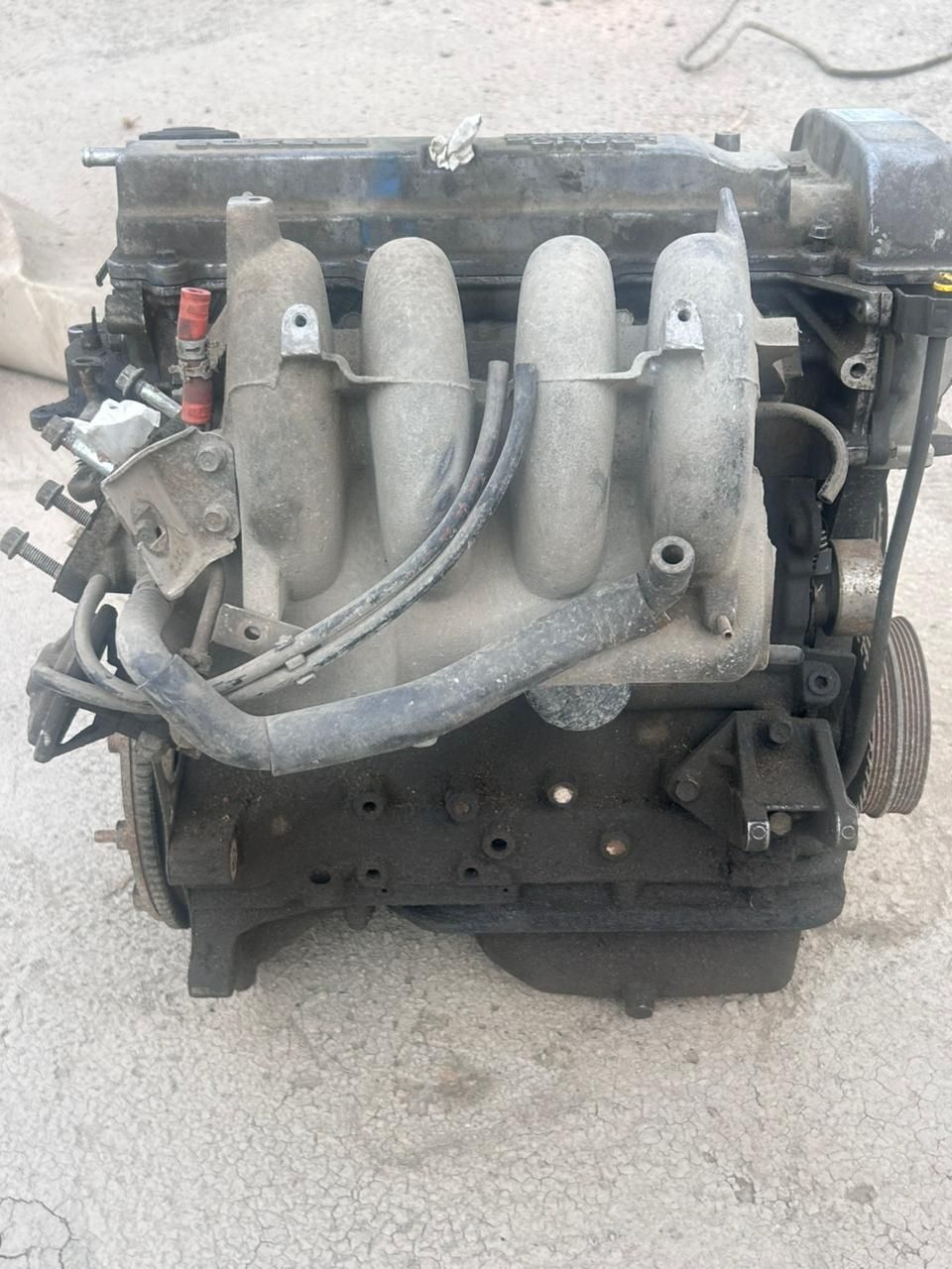 Жоламан турсунгазы