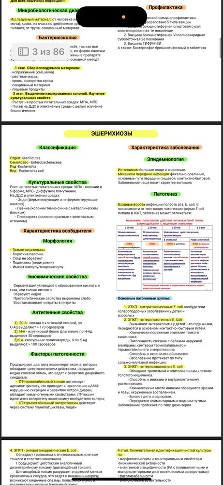Конспект по частной микробиологии для меда