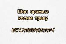 Шөп орамыз/ косим траву