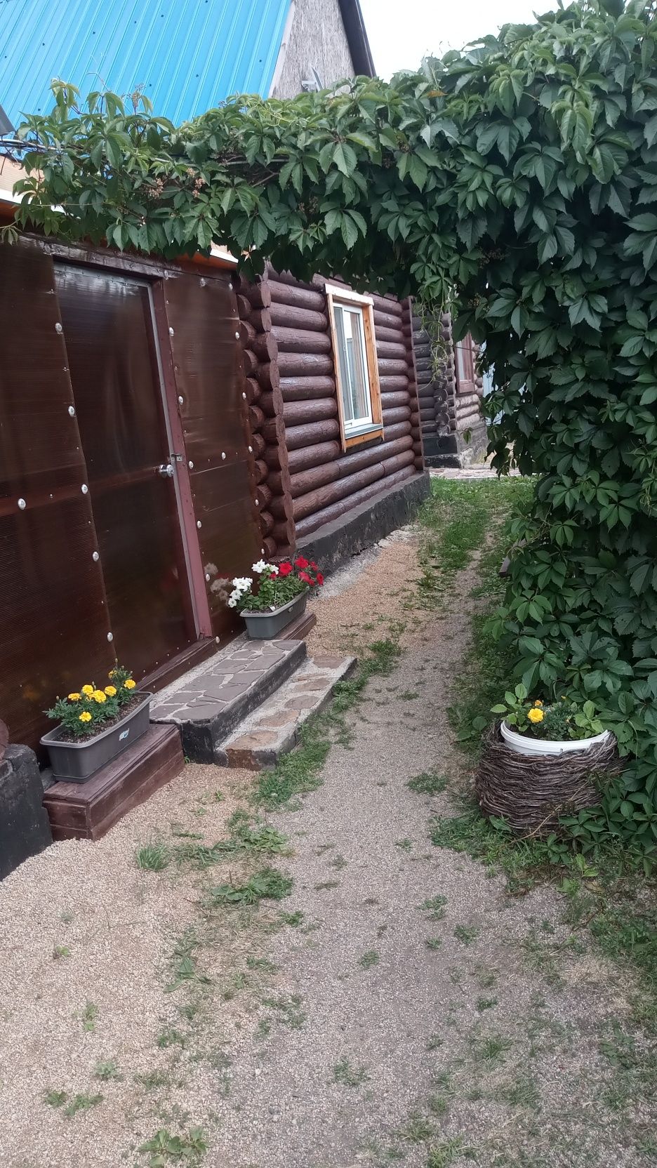 Сдаются посуточно срубы