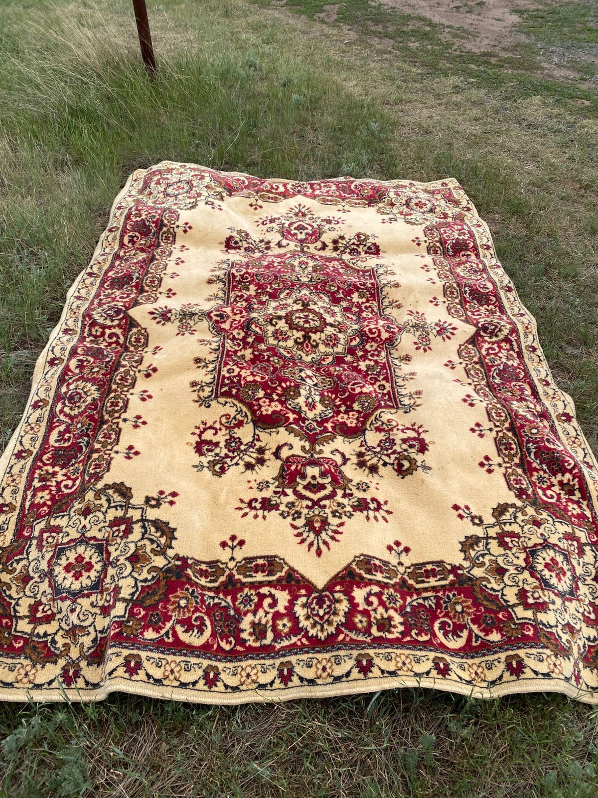 Ковры, паласы, Энгельс