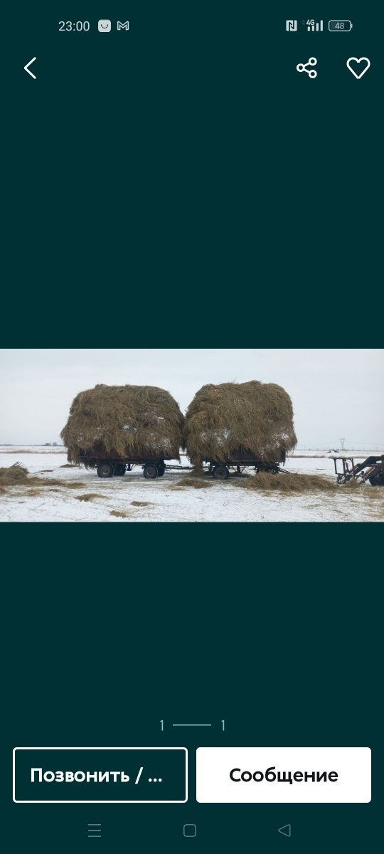 Продам сено луговое