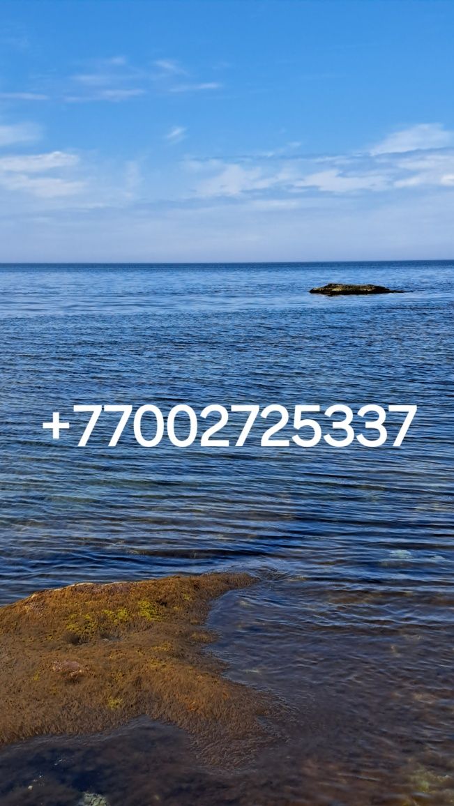 Лампа кольцевая  26 см продам