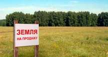 Продаётся зелёный участок