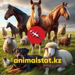 Чип для животных Абайская область чипирование микрочип AnimalStat