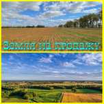 Срочно!!Продам землю сельхозназначения .Пашня.