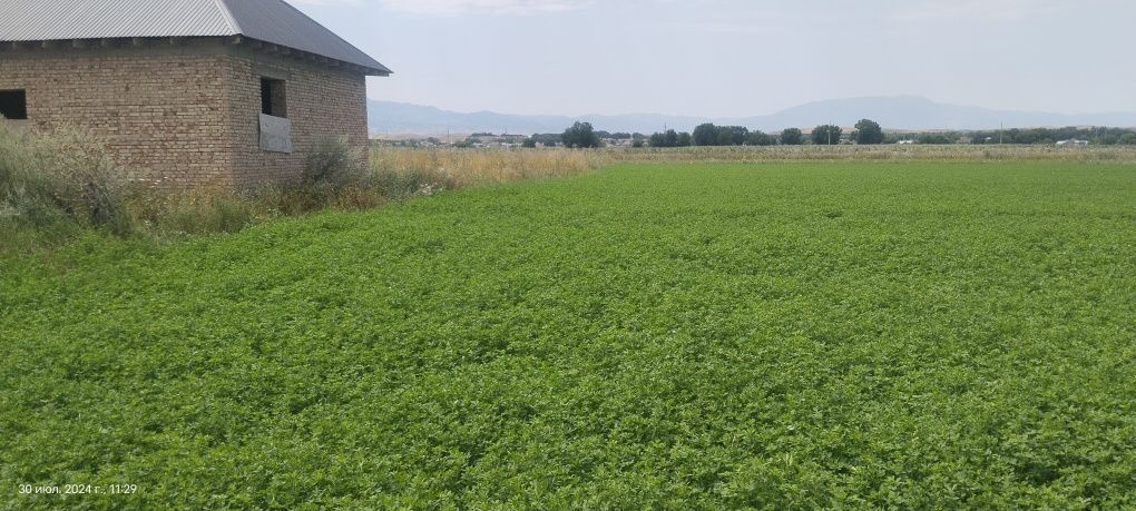Продается участок в Узынагаш, Жанакурылыс, ул. Желтоқсан, площаюью 8 с