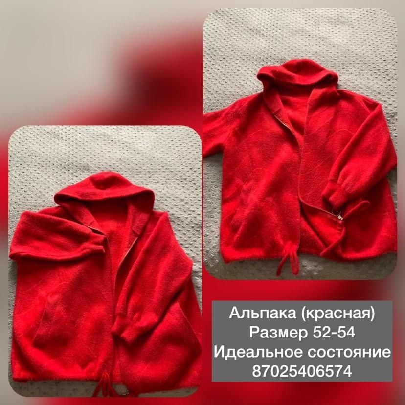 Альпака в идеальном состоянии