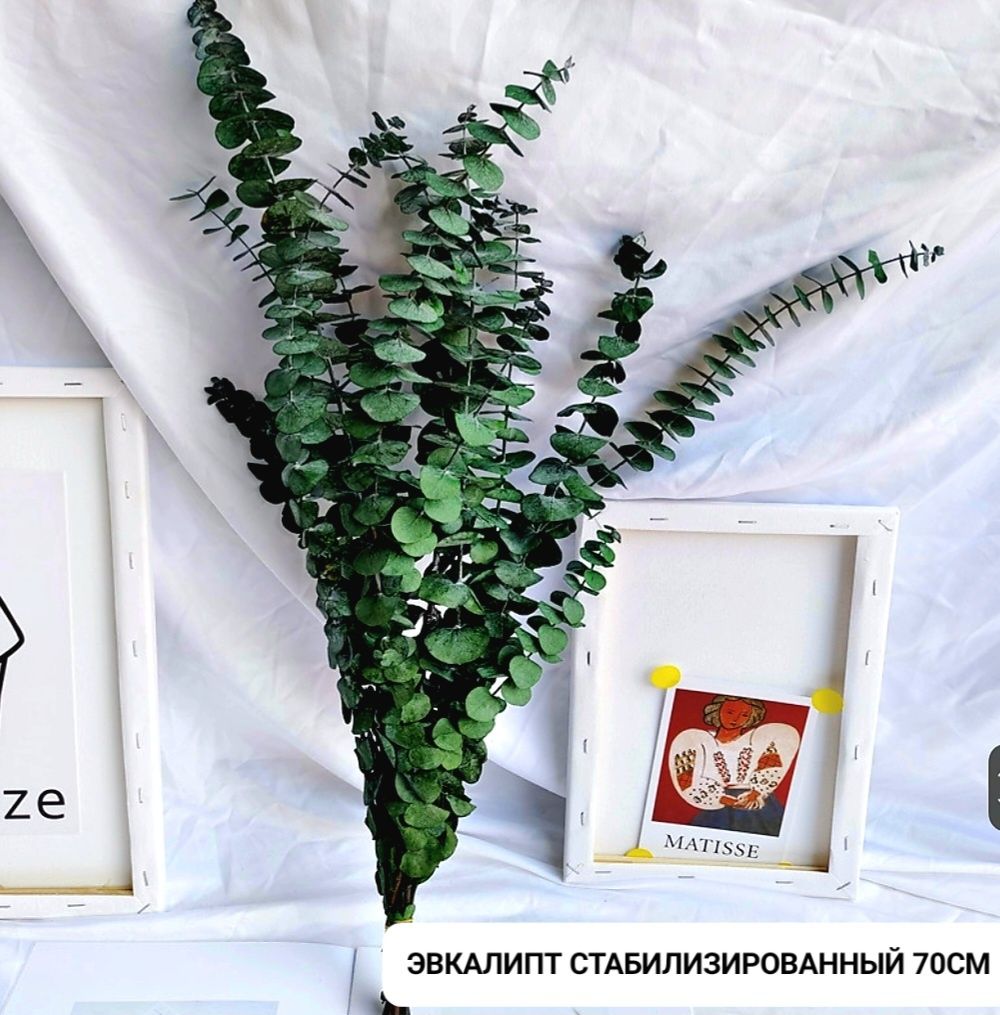 Сухоцветы стабил.цветы