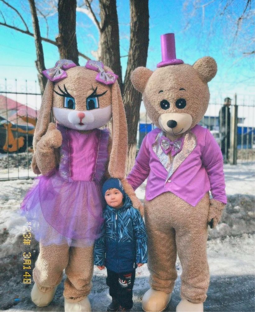 Аренда/продажа мишек
