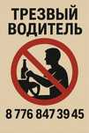Трезвый водитель