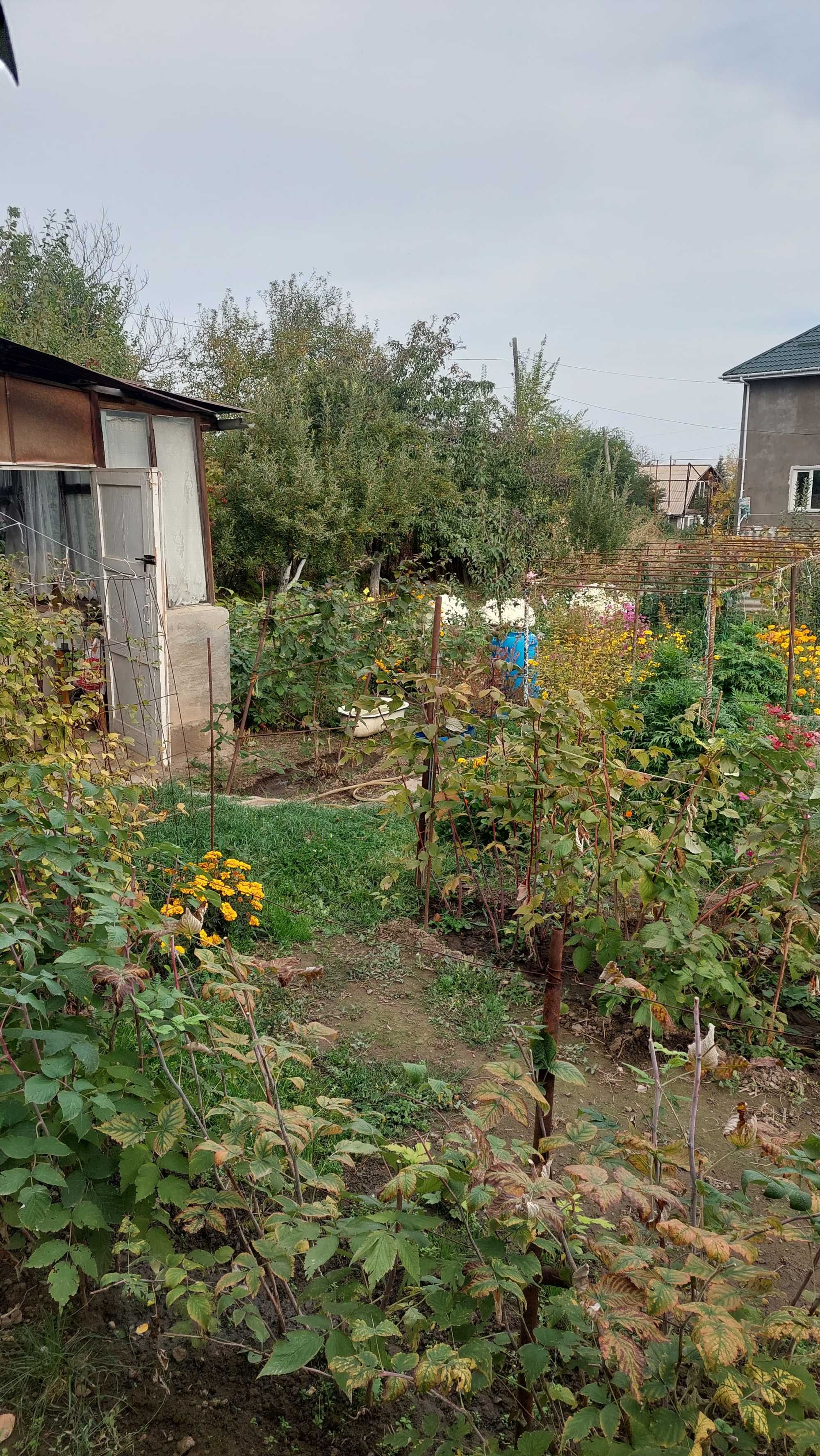 Продам дачу в Каскелене