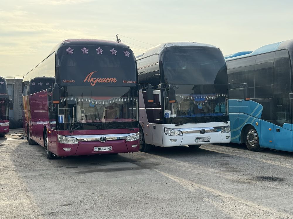 Принимаем заказы на автобус,Пассажирское перевозки на автобус
