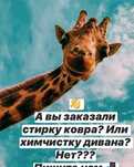 800т кв метр Стирка/чистка ковров, паласов
