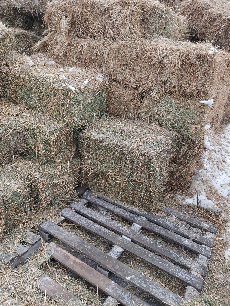 Продаю сено в тюках в городе с доставкой