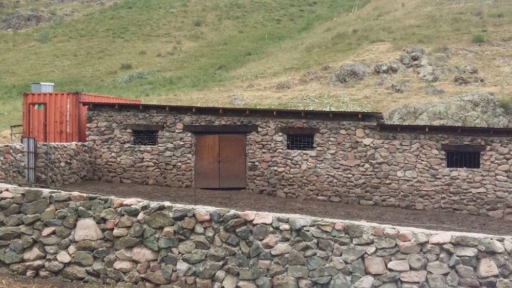 Крестьянское хозяйство с домом, сараем и др. хозпостройками