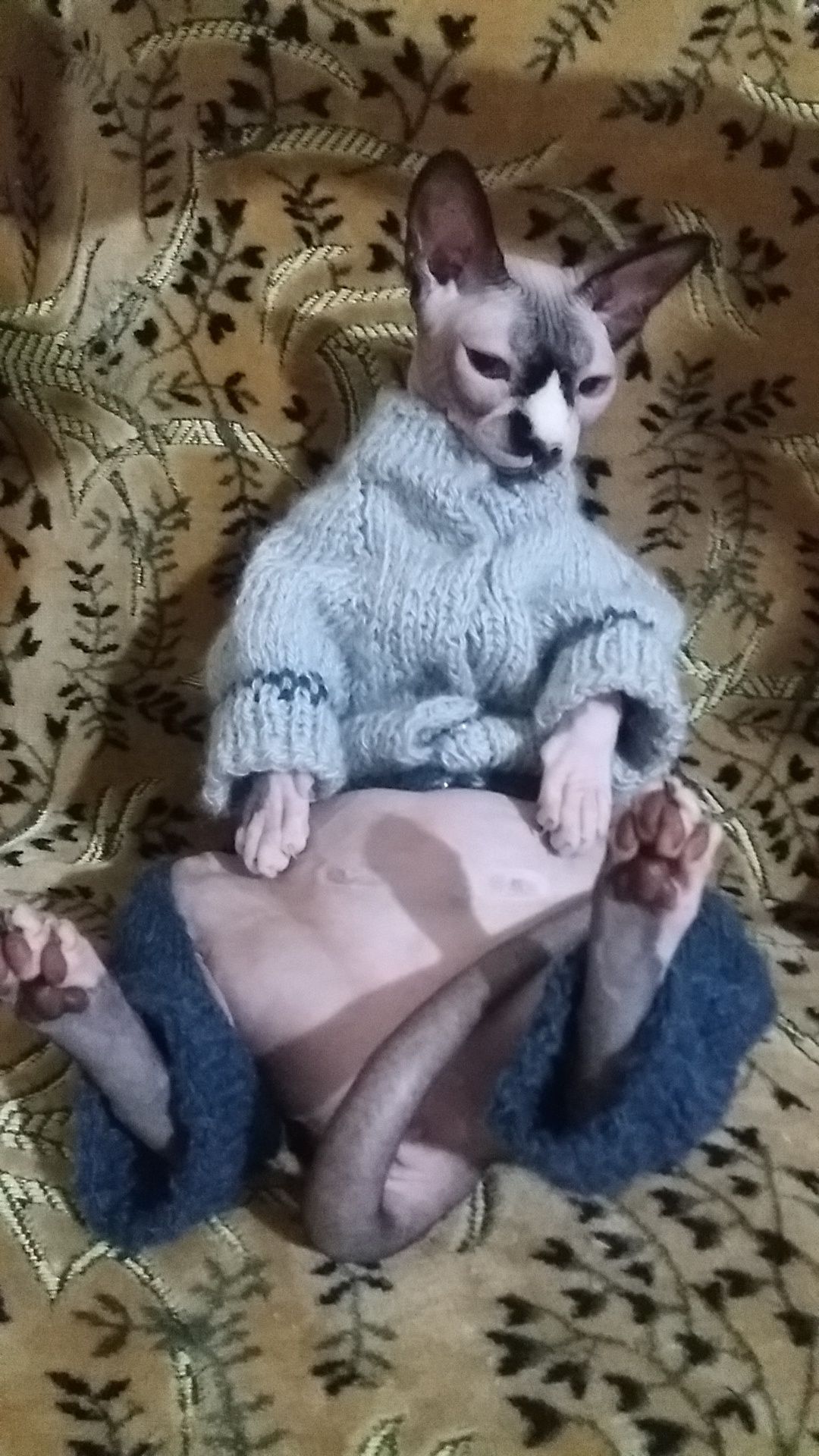 Одежда для кошек и собак