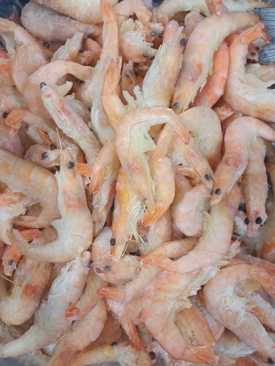 рыба Скумбрия 400-600гр. Норвегия. Продажа коробками 20 кг.