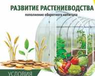 Бизнес-план Растениеводство у КХ. Выращивание зерновых