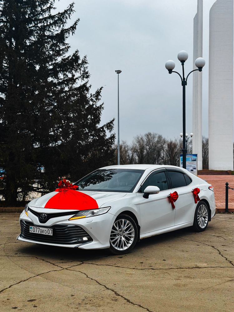 Toyota camry 70 >