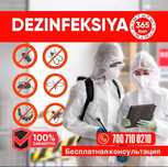 Дезинфекция. Уничтожение клопов и тараканов қандала дезинсекция