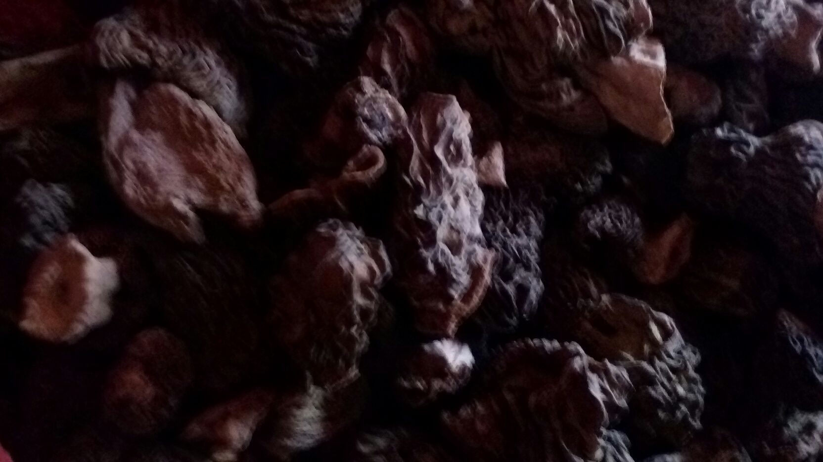Продам сморчки сухие