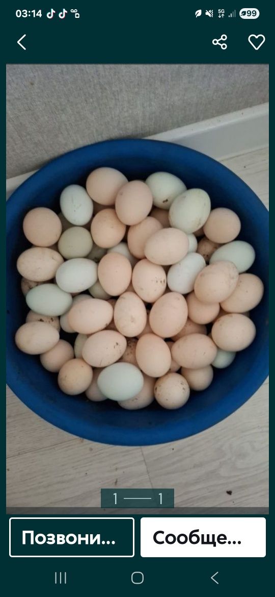 Продам дамашние ,свежие яйца  вкусные и питательные