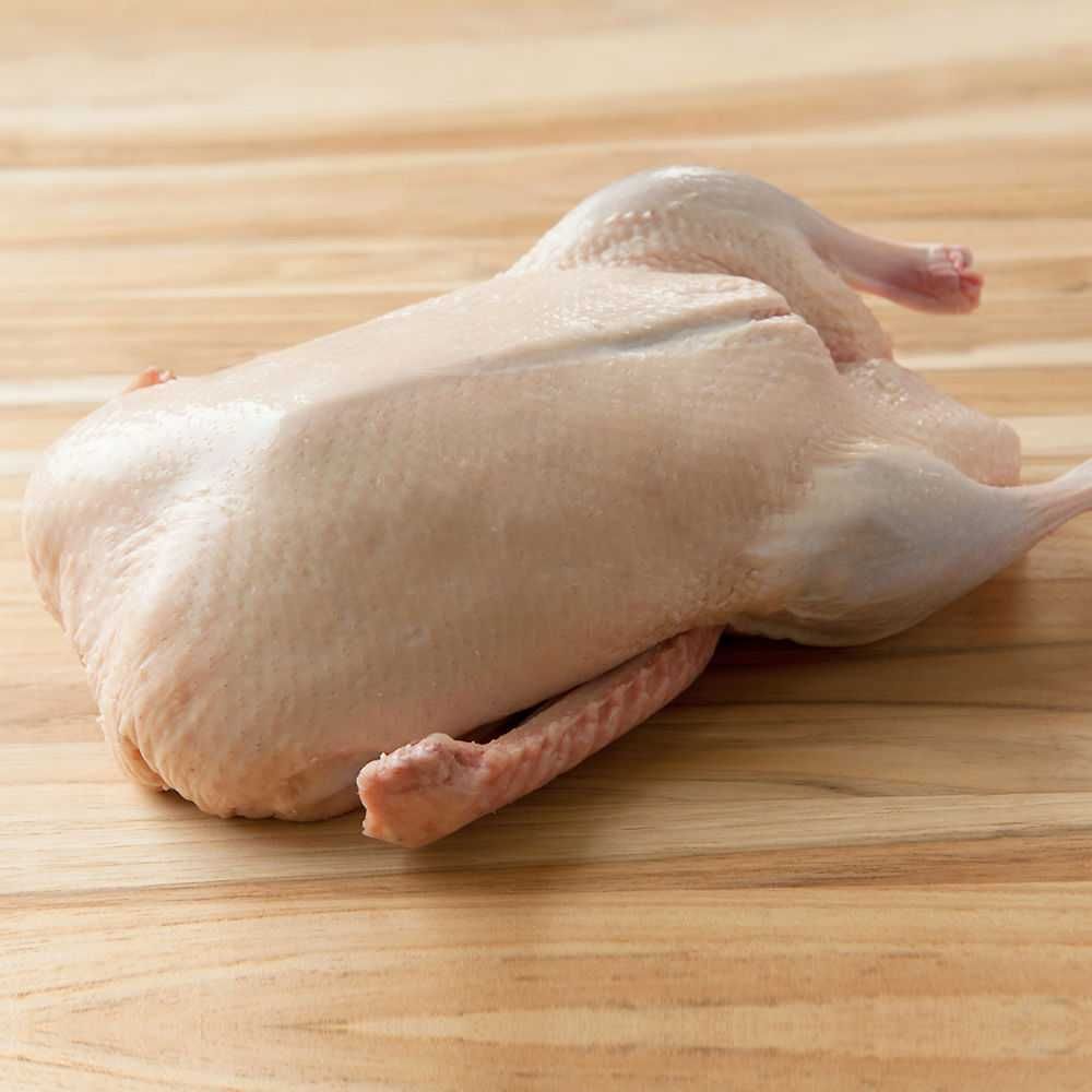 Продам мясо уток, курей, кроликов,