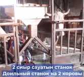 Доильный станок на 2 коровы с использованием доильного аппарата на 2 г
