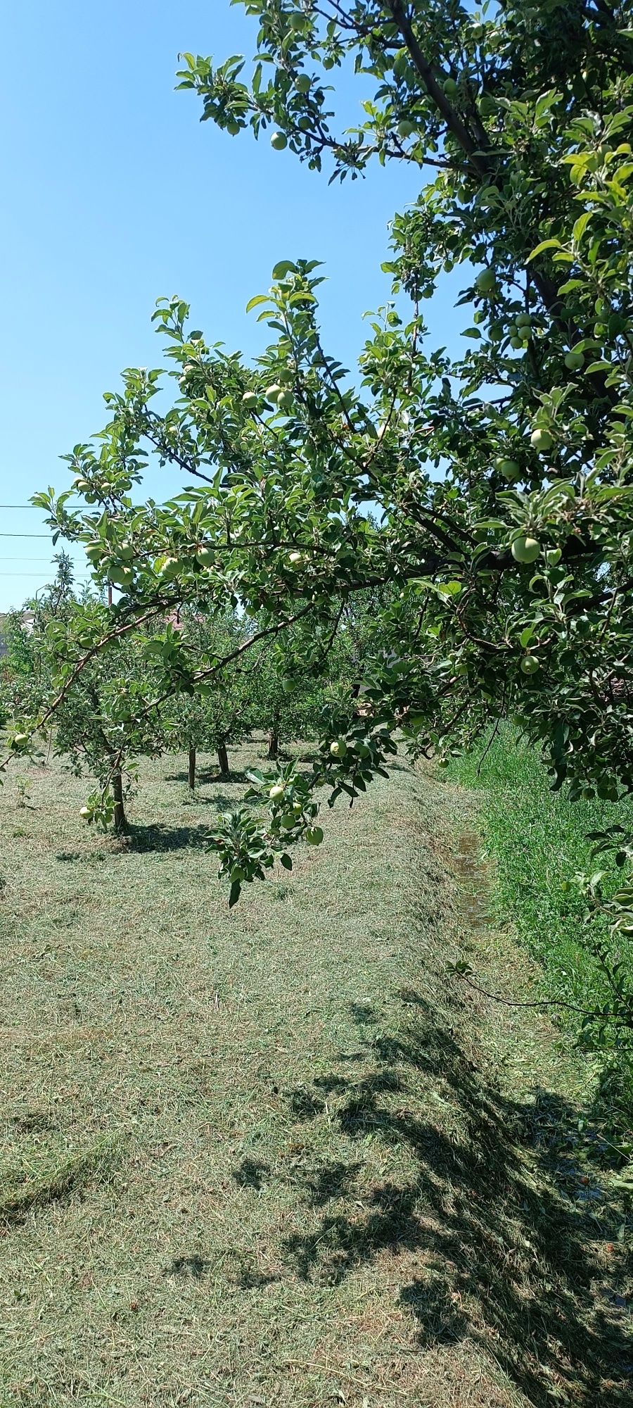 Продам 2 участка по 8 соток.  Цена 6,5 млн.тг за каждый
