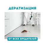 Дератизация грызунов, мышей, дезинсекция насекомых, дезинфекция