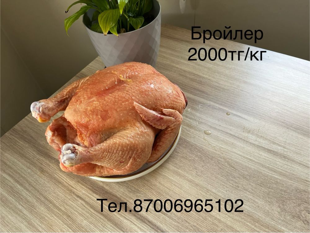 Бройлер(тушки) 2000тг/кг