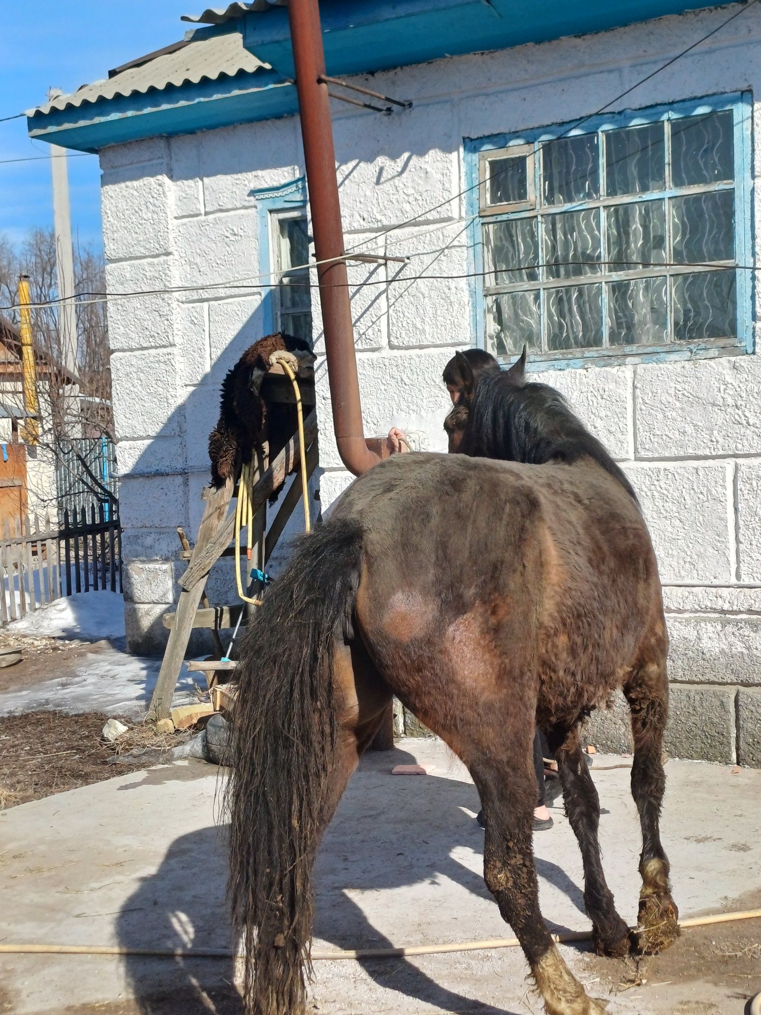 Байтал  сатылады
