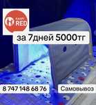 Лампа от желтухи, от желтушки. Фоталампа