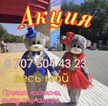 Мишки Тедди прокат аренда аниматор