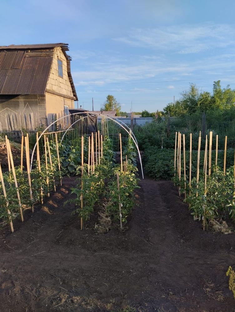 Продается теплый и просторный дом с участком. Возможен обмен.