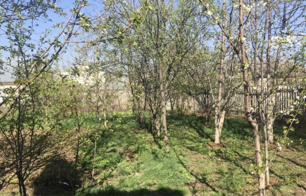 Дом в село шамалган 15 сот,200 кв продам илиобмен на квартиру в алматы