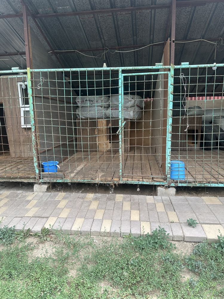 Продам вольеры для собак б/у