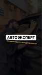 Автоэксперт | Автоподбор | Проверка авто перед покупкой | Эндоскопия