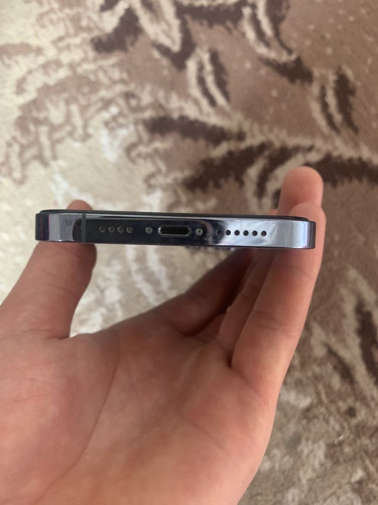 iPhone 13pro max