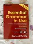 Essential Grammar in Use (4th Edition) английская книга
