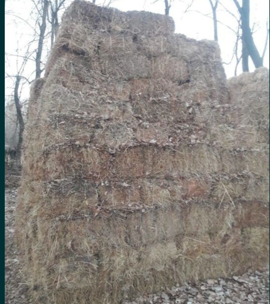 Продам сено отличное разнотравье